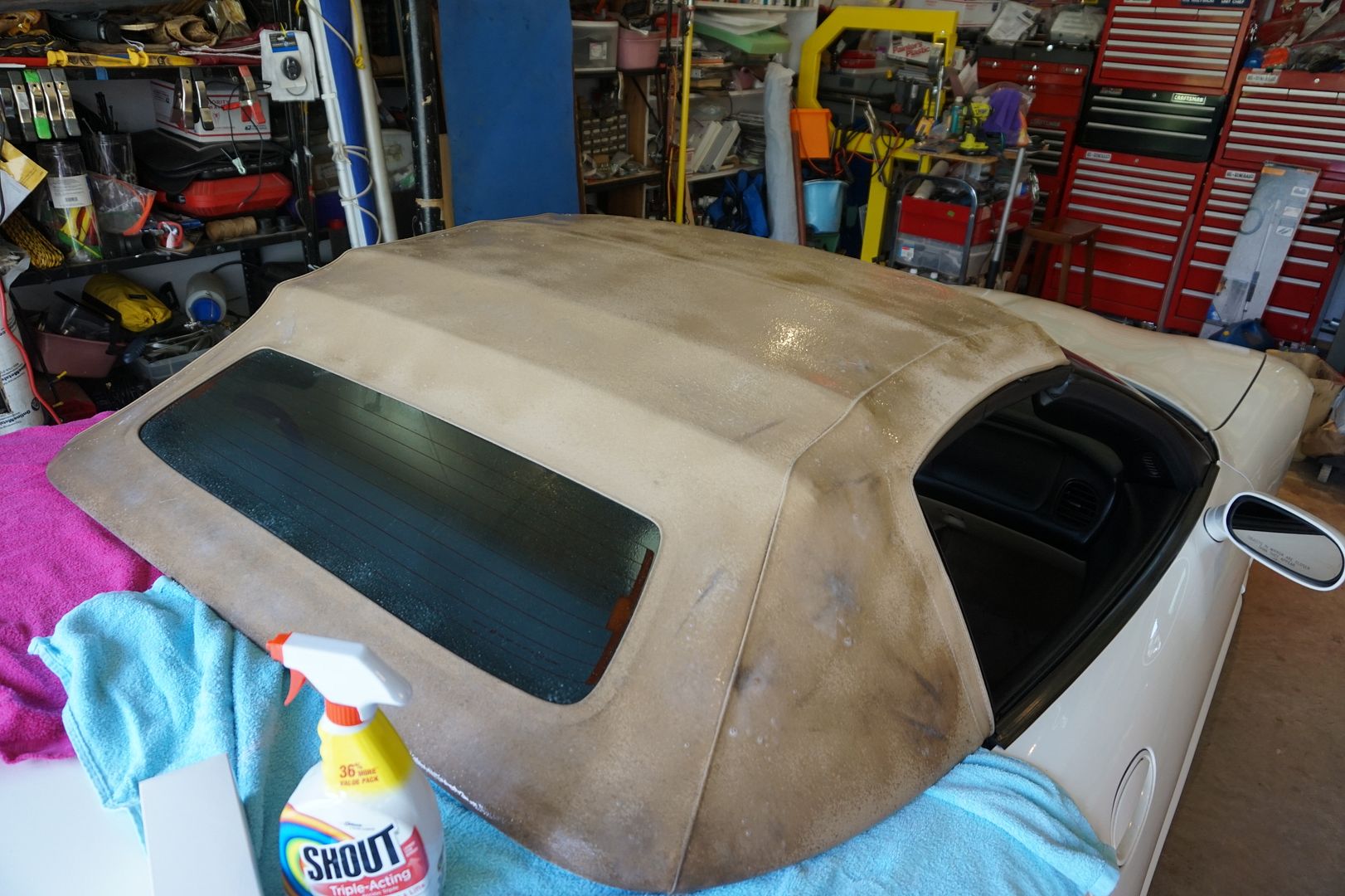 Mold/Mildew stained Tan convertible top wont clean up Help Page 6